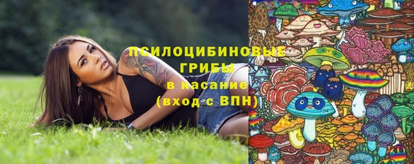 гидра Покров