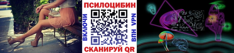 Псилоцибиновые грибы Psilocybine cubensis купить наркотики цена OMG как войти Власиха